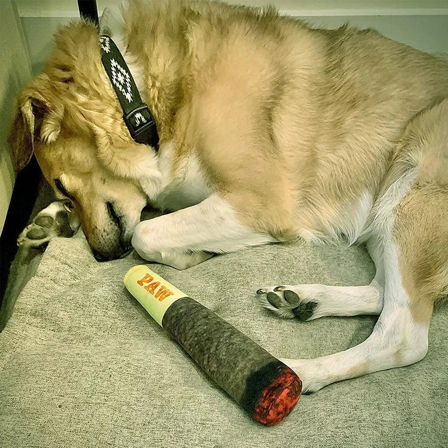 Funny Cigar Design Plush Dog Toy