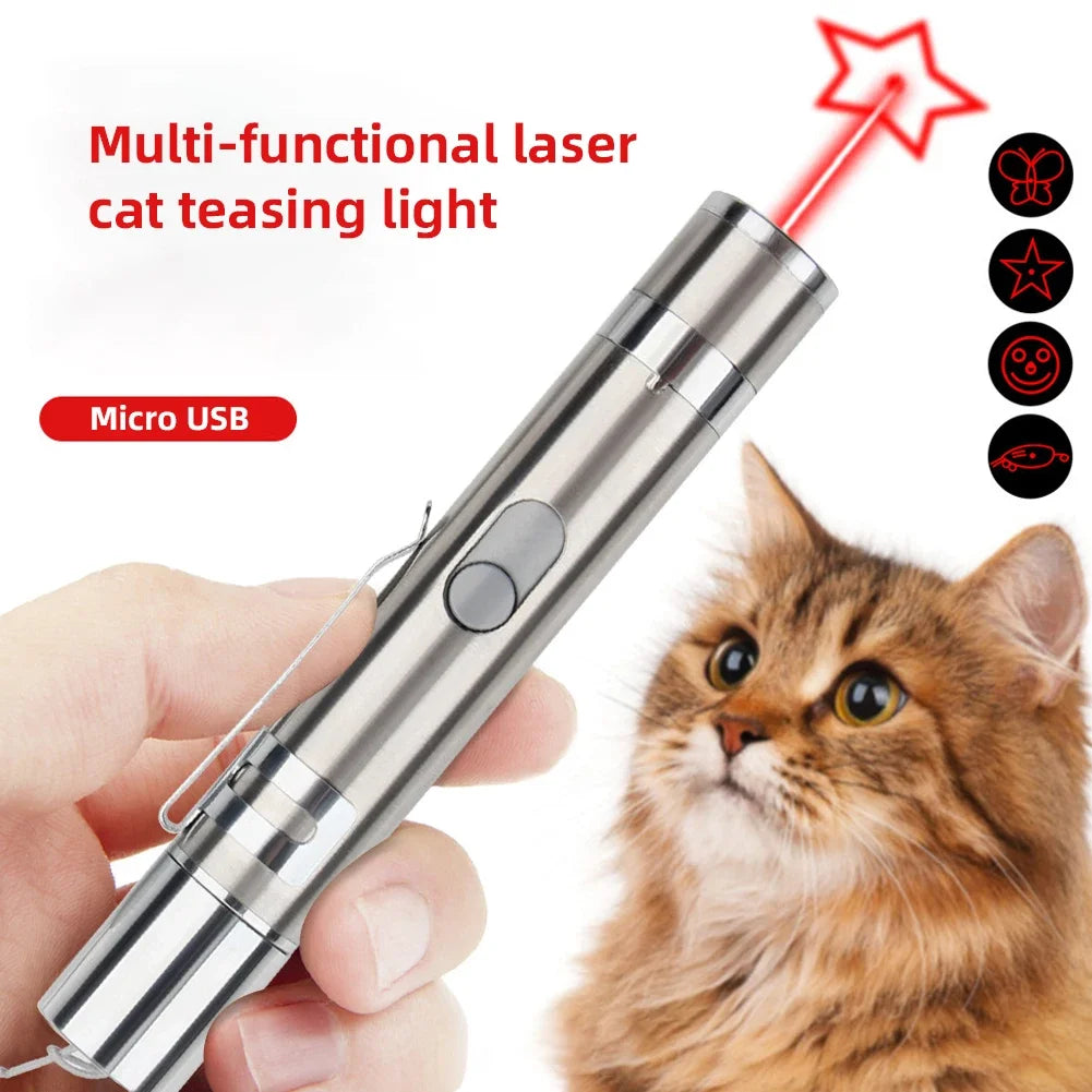 Multi-Function Pet Laser Pointer