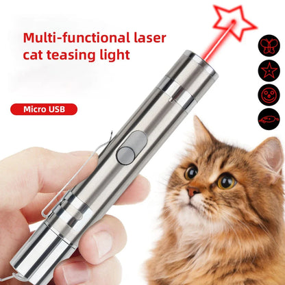 Multi-Function Pet Laser Pointer