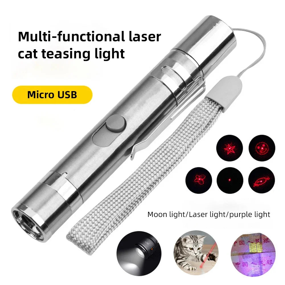 Multi-Function Pet Laser Pointer