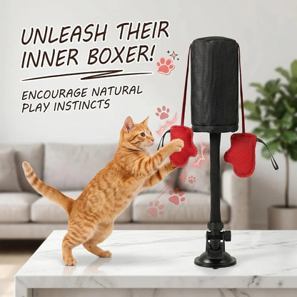 Cat Boxing Paw Punching Bag Toy